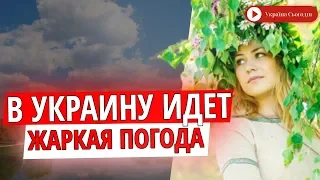 Погода на Троицу 2020 в Украине! Синоптик обрадовала украинцев