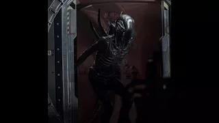 Alien Covenant All Xenomorph Scenes (Hunting)