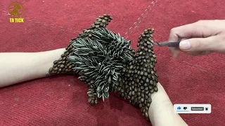 The process of separating a woman's hands covered with ticks