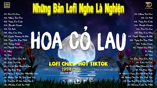 HOA CỎ LAU, MỘNG TÀN HOA LOFI - Nhạc Lofi Chill Hot TikTok 2024 - Lofi Chill "NGHE LÀ NGHIỆN"