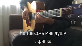 В.Меладзе - Не тревож мне душу скрипка! (cover by Alex Murphy)