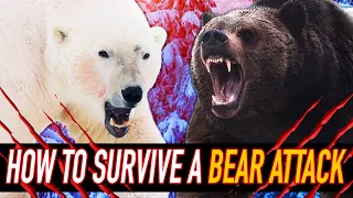 How to survive | Bear Attack ABCs #wildspaces #bears #guns #grizzlies #polarbear #attack