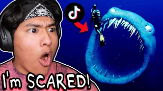 SCARY TikToks You Should NOT Watch At Night!!! | LIGHTS ARE OFF Compilation