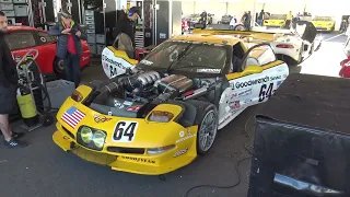 Chevrolet Corvette C5-R Le Mans Classic : V8 Monster Sound ! [HD]