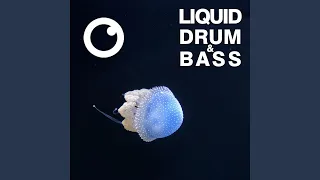 Liquid Drum & Bass Sessions 2020 Vol 37