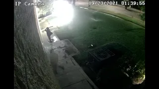 Caught on camera: Suspect smashes stained glass windows at Armenian church