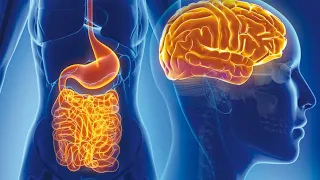 L'asse intestino-cervello, Ansia e depressione e Malattie Infiammatorie Croniche Intestinali (MICI)