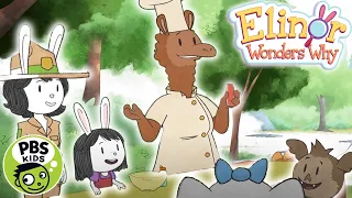 Elinor Wonders Why | Fix the Goopy Ketchup! | PBS KIDS