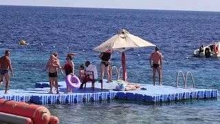 Egypt 2021. Snorkeling with fish  in the Red sea at Sharm-El-Sheikh.