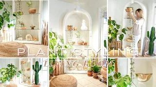 Plant Styling | Living Room Plant Corner