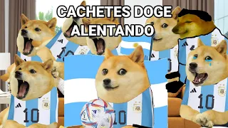 CACHETES DOGE ALENTANDO (ruben tuesta)