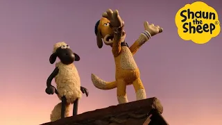 Shaun the Sheep Season 5 Full Episodes Compilation | Shaun the Sheep Season 2 Cartoon for Kids