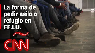 Asilo político o refugio en Estados Unidos: esto es lo que debes hacer para aplicar