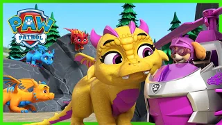PAW Patrol Rescue Knights, Baby Dragons & MORE 🏰🐉 | PAW Patrol | Cartoons for Kids