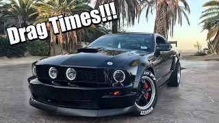 You won’t believe how FAST my FBO Cammed Mustang GT is!