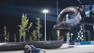 The security guards used fireworks to attack the snake and burned it to black charcoal!