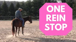 My Love/Hate Relationship with the One Rein Stop (Episode 210) - Herm Gailey: A Lifetime with Horses