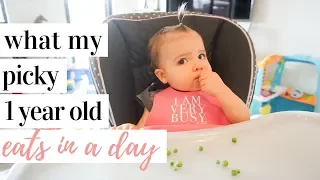 WHAT MY 1 YEAR OLD EATS IN A DAY | Getting my picky 13 month old  to eat solids!