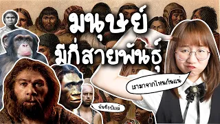 มนุษย์มีกี่สายพันธุ์? | Point of View