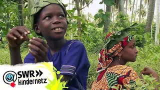 Pilau kochen auf der Gewürzfarm | Mein Bruder und ich in Sansibar | SWR Kindernetz