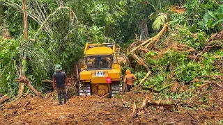 The CAT D6R XL bulldozer functions very well in clearing forests for plantations