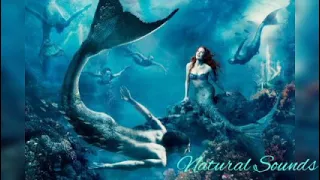 Siren Song / Canto de Sirena