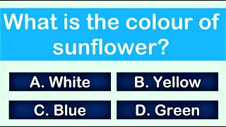 Quiz Time | Colour Quiz for Kids | Colour Test for kids | AAtoons Kids