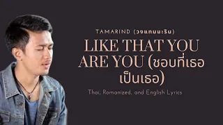 Like That You Are You (ชอบที่เธอเป็นเธอ) - Tamarind (วงแทมมะริน)