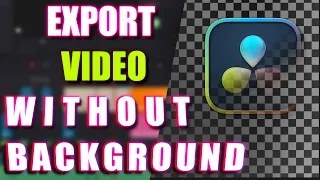 How To Export A Transparent Background Video In Davinci Resolve 18.6