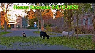 НОВАЯ КАХОВКА ГОРОД В КОТОРОМ МЫ ЖИВЕМ,ВОТ И ЗИМА 6 12 2020