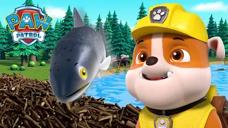 Pups Help the Fish get over the Beaver Dam! - PAW Patrol UK - Cartoons for Kids Compilation