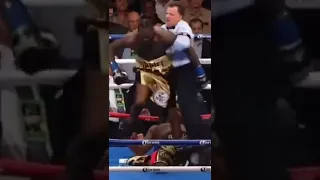 Deontay Wilder brutal knock out