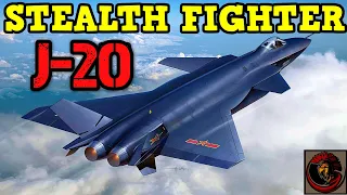 Chengdu J-20 'Mighty Dragon' Stealth Fighter Jet Review | WHY IS IT DISLIKED?