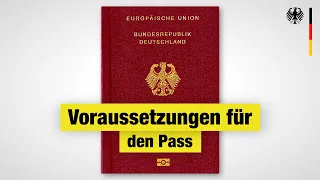 Deutschen Pass beantragen: Antworten & Wissenswertes | 2024