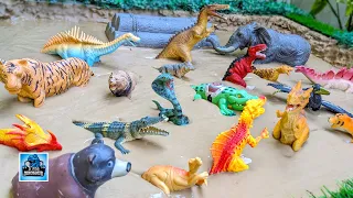 12 Wild Animals & Prehistoric Dinosaurs Stuck in Mud | Fun Learning Episode for Kids
