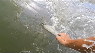 Shorebreak Barrels