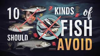 10 Kinds Of Fish You Should Avoid