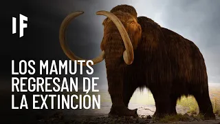 ¿Qué pasaría si los mamuts nunca se hubieran extinguido?