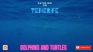 Kayaking with dolphins and turtles on Tenerife 2020
