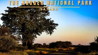 The Kruger National Park | Satara Rest Camp | Episode 2