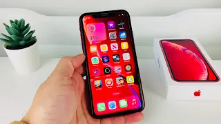 iPhone XR Worth It in 2023 (Review)