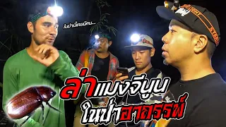 ออกล่า! "แมงจีนูน" ในป่าอาถรรพ์?!! [หัวครัวทัวร์ริ่ง] EP.144