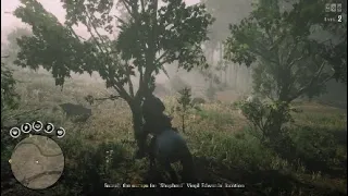 Red Dead Online: Legendary Bounty-Virgil "The Shepherd" Edwards