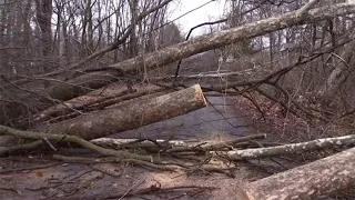 Strong Winds Cause Damage In Cherokee County