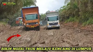 Ngeri !! Nggak Ada Takut Nya Truk Hino Jember dan Truk Fuso Oren Melaju Kencang di Kubangan Lumpur