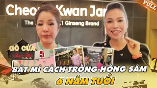 Ca sĩ Kiều Mai Anh bật mí cách trồng hồng sâm 6 năm tuổi, hầm gà mời Thuý Nga thưởng thức|GCTNUS #5