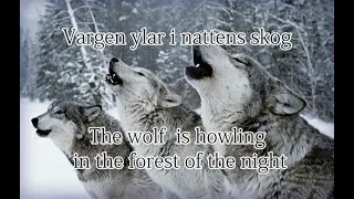 Vargsången, Swedish lullaby (lyrics/translation)