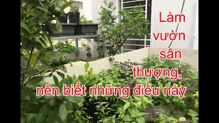 Những điều mà người mới làm vườn sân thượng nên biết | THÍCH TRỒNG CÂY TV