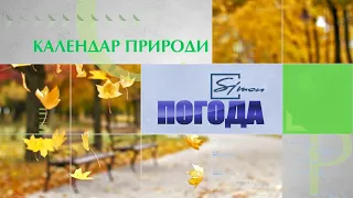 Погода на 6 листопада 2021