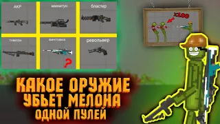 КАКОЕ ОРУЖИЕ УБЬЕТ 1 ПУЛЕЙ ТОЛПУ МЕЛОНОВ В MELONPLAYGROUND?